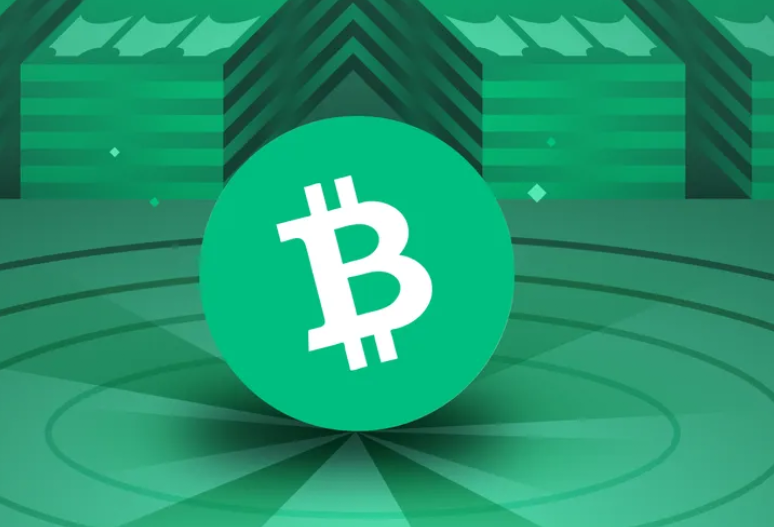 比特币现金(BCH)是什么？